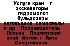 Услуги кран 25т, экскаваторы   гидромолот, бульдозеры, автовышка, самосвалы и др › Производитель ­ Япония - Приморский край, Артем г. Авто » Спецтехника   